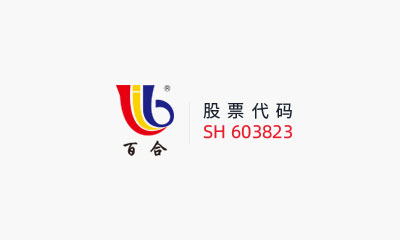 百合花集团股份有限公司 关于对外投资暨内蒙古源晟制钠科技有限公司项目的进展公告