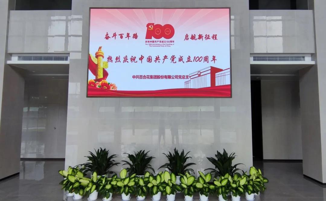 庆祝中国共产党成立100周年|百合花党总支开展系列活动